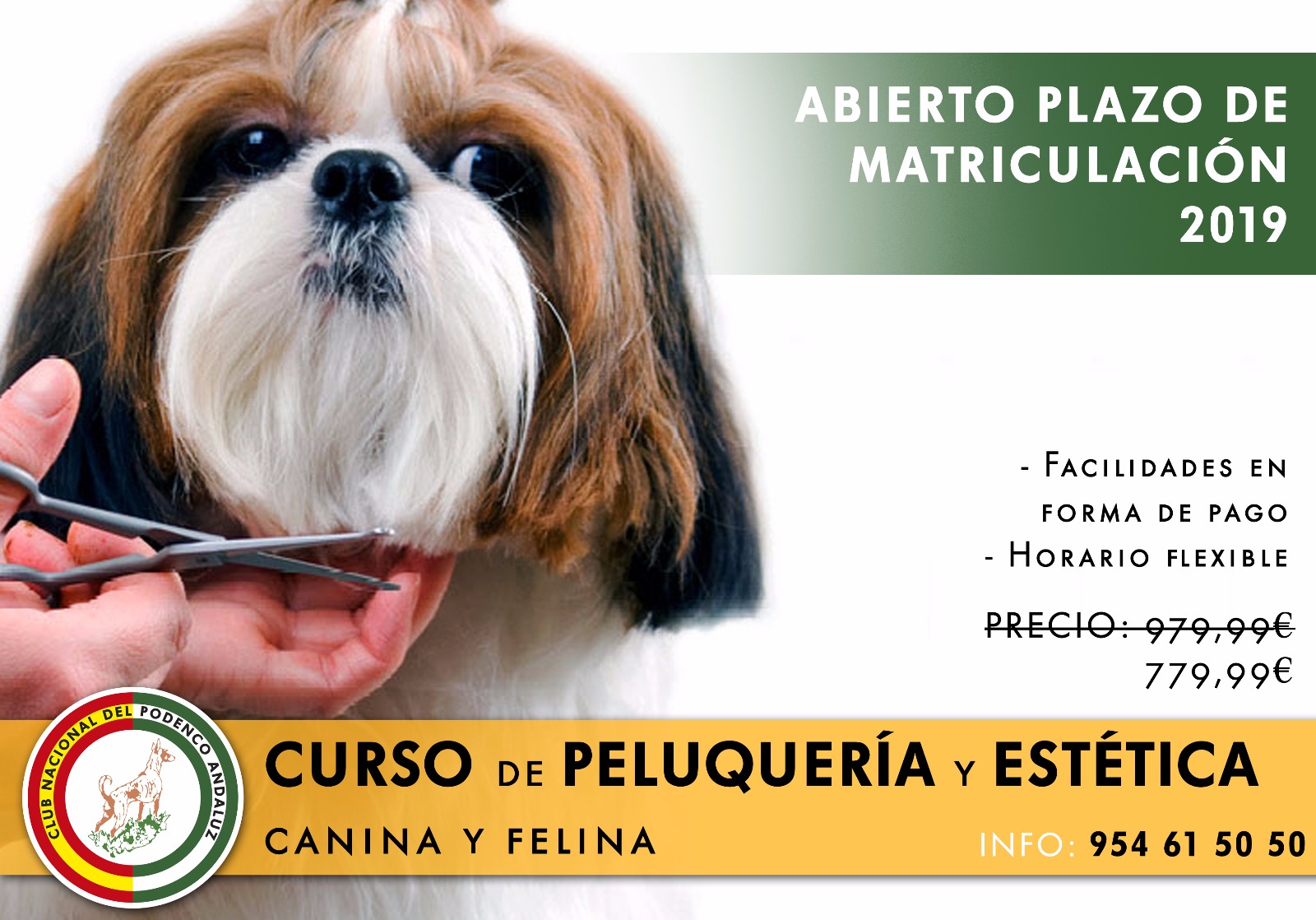 Peluquería Canina y Felina