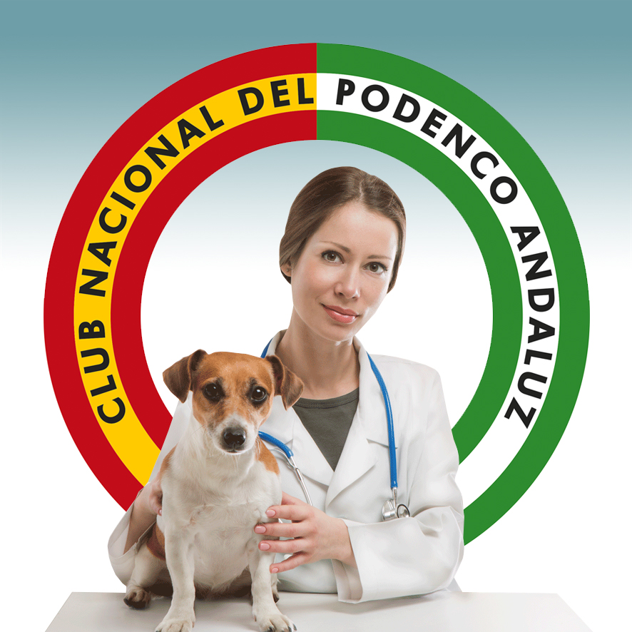 Clínica Veterinaria en Sevilla