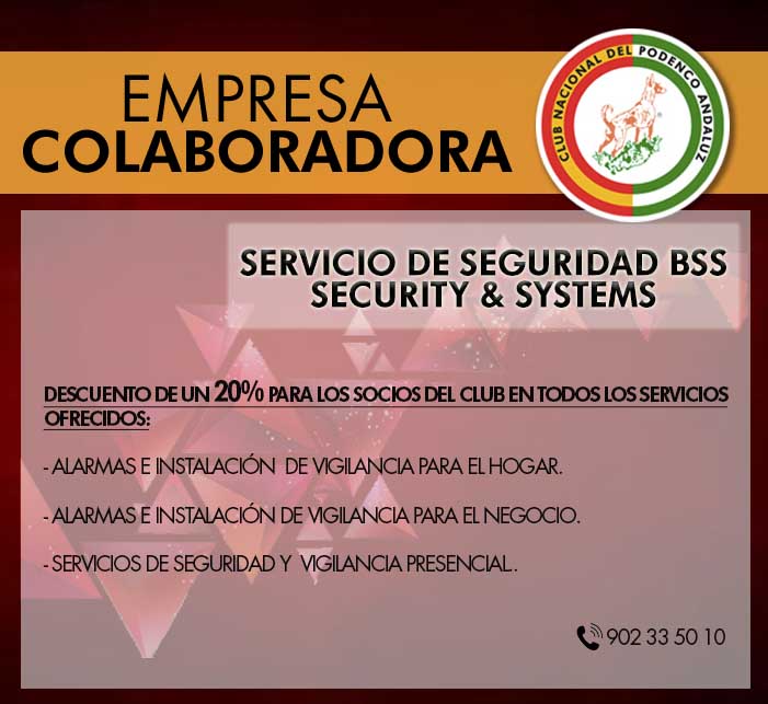 BSS Security & Systems