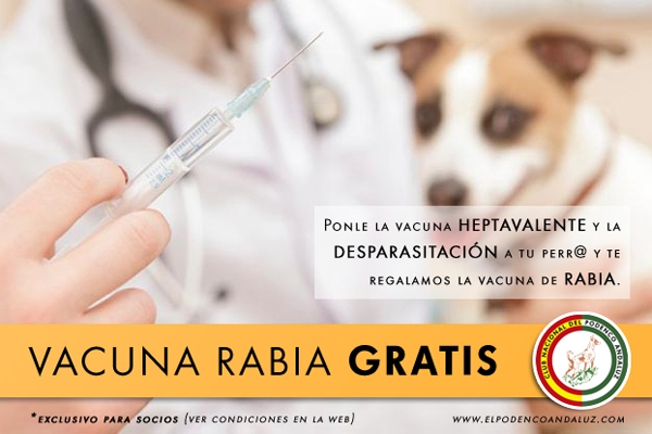 ¿Por qué es necesario vacunar anualmente a nuestro perro de la heptavalente?
