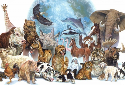 4 de Octubre. Día Mundial de los Animales