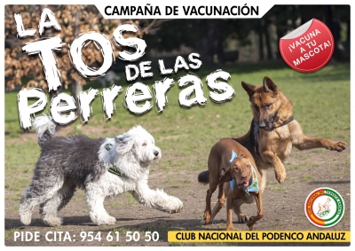 La tos de las perreras: Esa desconocida enfermedad común